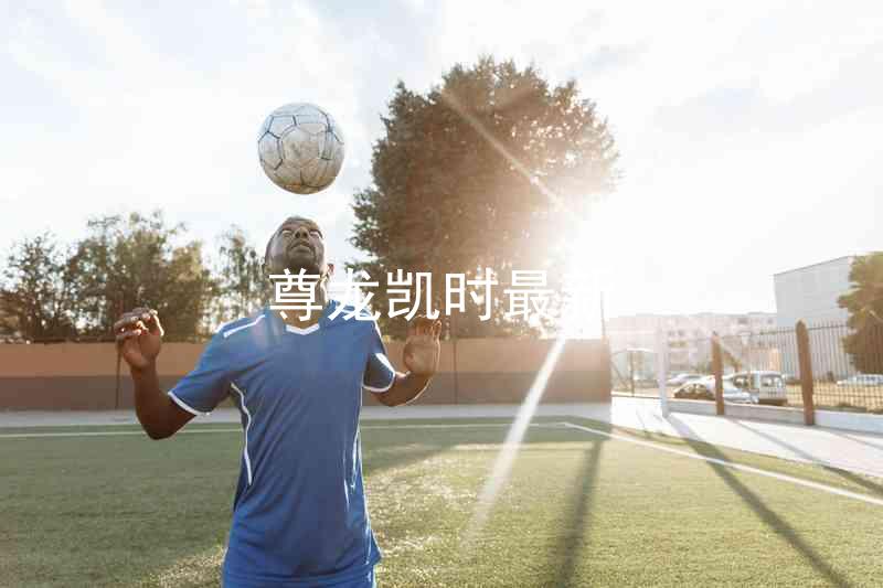 尊龙凯时最新
