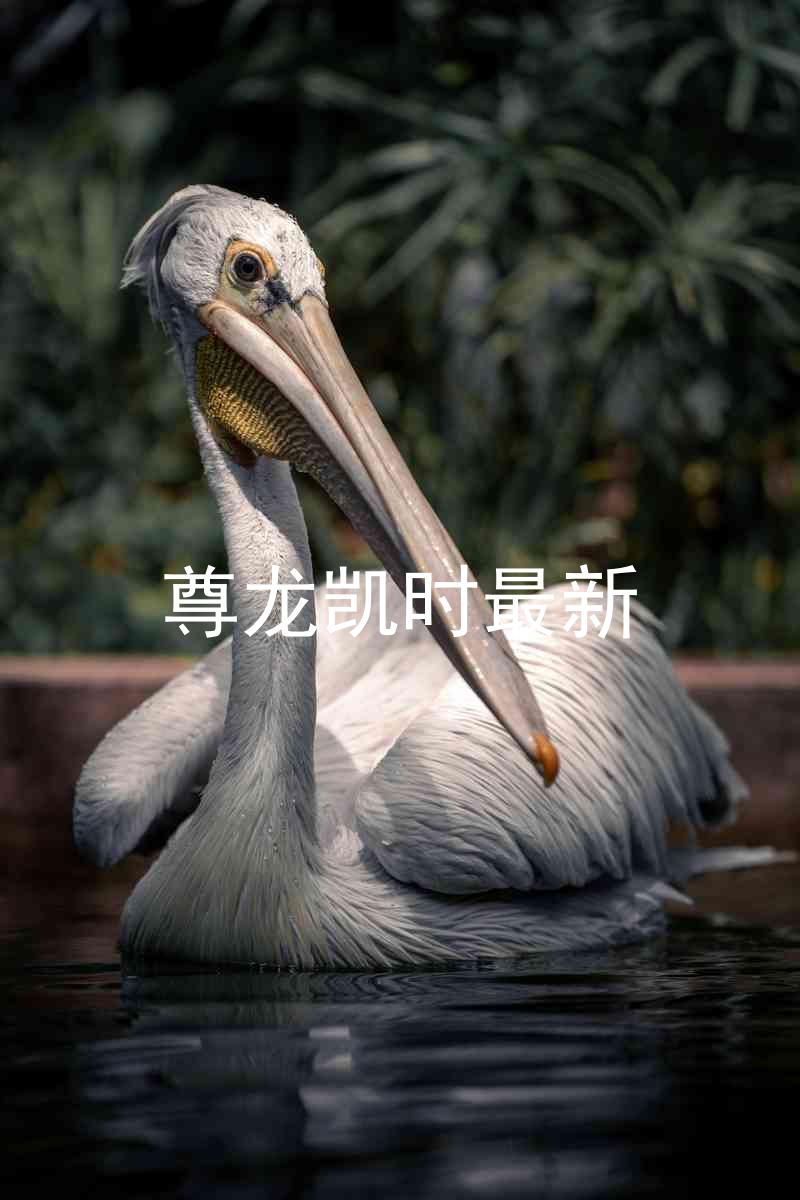 尊龙凯时最新